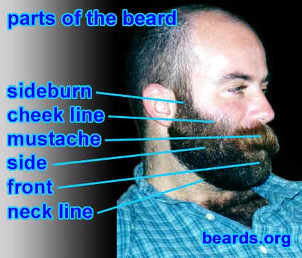 Parts of beard where ingrown hair forms