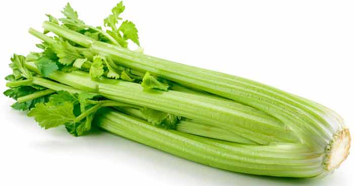 Best anti bloating vegetables celery
