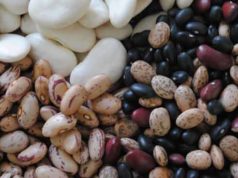 Foods that cause Bloating and Gas-Worst Foods for Bloating Worst foods cause bloating and gas