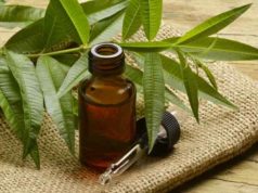 How to use Tea Tree Oil for Dandruff, Scalp Psoriasis, lice & Sores Review Tea Tree oil for dandruff treatment
