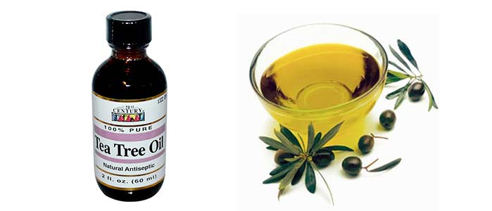 tea tree oil fever blister fast heal